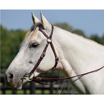 AUSTRALIAN BARCOO OUTRIDER AUSSIE BRIDLE made from BETA BIOTHANE