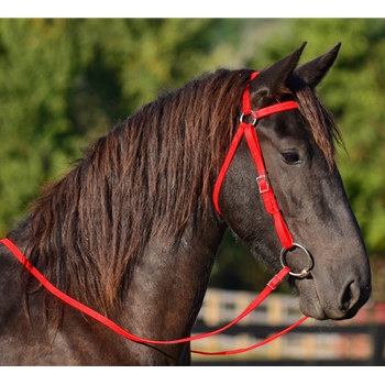 AUSTRALIAN BARCOO OUTRIDER AUSSIE BRIDLE made from BETA BIOTHANE