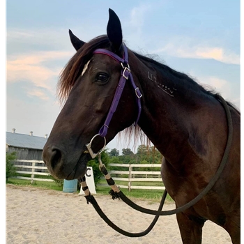 AUSTRALIAN BARCOO OUTRIDER AUSSIE BRIDLE made from BETA BIOTHANE