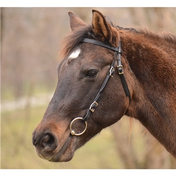 One Size Fits Most WESTERN BRIDLE made from BETA BIOTHANE (Solid Colored)