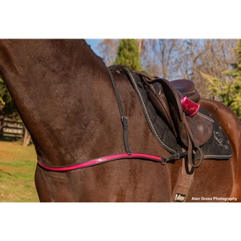 JUMPING ENGLISH BREAST COLLAR made from BETA BIOTHANE (Solid Colored)