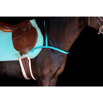 JUMPING ENGLISH BREAST COLLAR made from BETA BIOTHANE (Solid Colored)