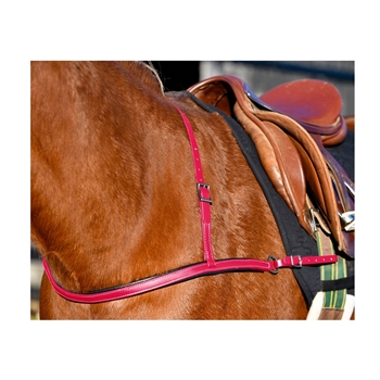 Set Briglia Inglese In Biothane Nero – Two Horse Tack, Include Redini E Pettorale