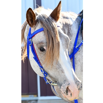 WESTERN BRIDLE with Futurity Knot Browband made from BETA BIOTHANE (Solid Colored)