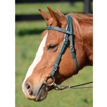 WESTERN BRIDLE with Futurity Knot Browband made from BETA BIOTHANE (Solid Colored)