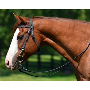 Western Training Bridle With Quick Change Snaps Made From Beta Biothane - Two Horse Tack