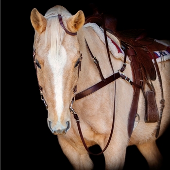 Western Bridle One or Two ear Split ear Browband Made From Beta Biothane - Two Horse Tack