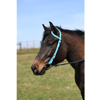 Western Split One or Two ear Bridle Made From Beta Biothane With Neoprene Padding - Two Horse Tack