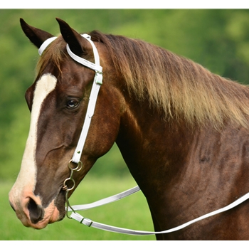 WESTERN BRIDLE (One Ear or Two Ear Split Ear Browband) made from BETA BIOTHANE (Solid Colored)