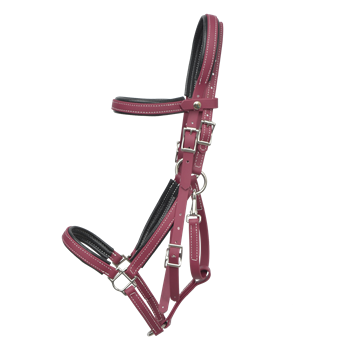 PADDED Traditional HALTER BRIDLE with BIT HANGERS made from BETA BIOTHANE with Black NEOPRENE PADDING