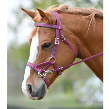 Sidepull Bitless Bridle made from Beta Biothane with Colored Synthetic Padding - Two Horse Tack
