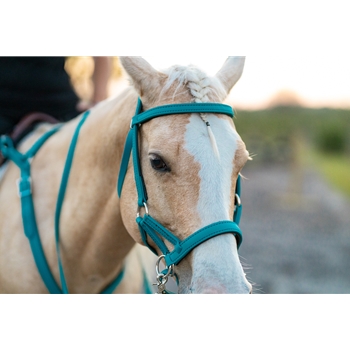 PADDED Simple Sidepull Bitless Bridle made from BETA BIOTHANE with COLORED SYNTHETIC PADDING