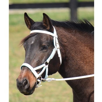 Sidepull Bitless Bridle made from Beta Biothane with Metallic Padding - Two Horse Tack