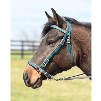 PADDED Simple Sidepull Bitless Bridle made from BETAWestern Style Bitless Bridle Made From Beta Biothane with Colored Synthetic Padding - Two Horse Tack BIOTHANE with COLORED SYNTHETIC PADDING