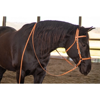 Western Style Bitless Bridle Made From Beta Biothane with No-Rub Padding - Two Horse Tack