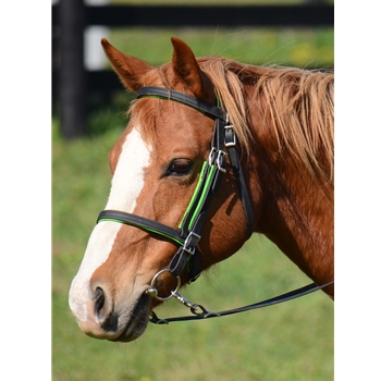 English Bridle with Cavesson Made From Beta Biothane with Colored Synthetic Padding - Two Horse Tack