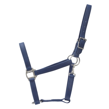 HALTER & LEAD made from BETA BIOTHANE (Solid Colored)