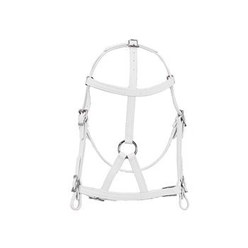 MEDIEVAL BAROQUE WAR or PARADE BRIDLE with reins Beta Biothane