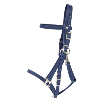 Quick Change HALTER BRIDLE with Snap on Browband made from BETA BIOTHANE (Solid Colored)