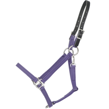 SAFETY HALTER & LEAD with Leather Breakaway Crown made from BETA BIOTHANE (Solid Colored)