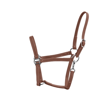 MEDIUM BROWN Turnout HALTER & LEAD made from BETA BIOTHANE - BR522