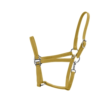 GOLD Turnout HALTER & LEAD made from BETA BIOTHANE - GD521
