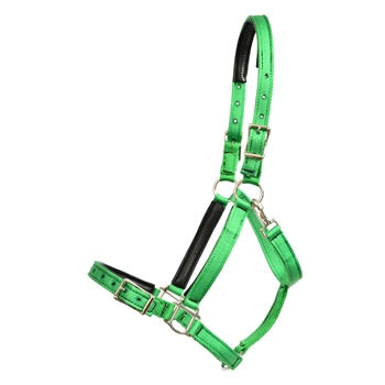 GRAY Turnout HALTER & LEAD made from BETA BIOTHANE - GR523