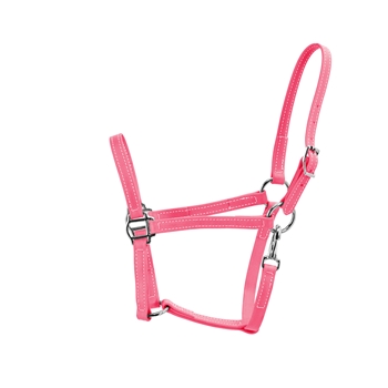HOT PINK Turnout HALTER & LEAD made from BETA BIOTHANE - PK521