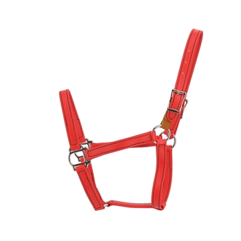 BETA BIOTHANE Safety Halter with Leather Breakaway Tab