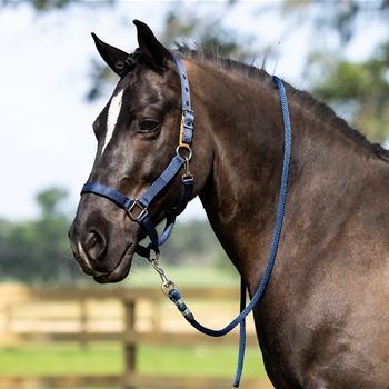 Heavy Duty SAFETY HALTER with BREAKAWAY LEATHER TAB made from NYLON