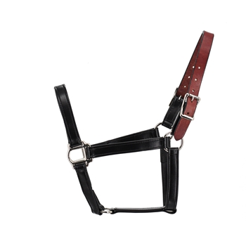 **BETTER THAN LEATHER** SAFETY HALTER & LEAD with Leather Breakaway Crown made from 580 BETA BIOTHANE