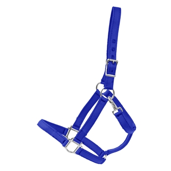 ROYAL BLUE Heavy Duty TURNOUT HALTER made from NYLON
