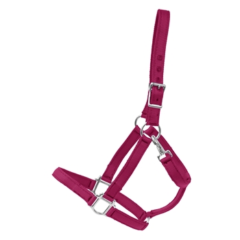 RASPBERRY Heavy Duty TURNOUT HALTER made from NYLON