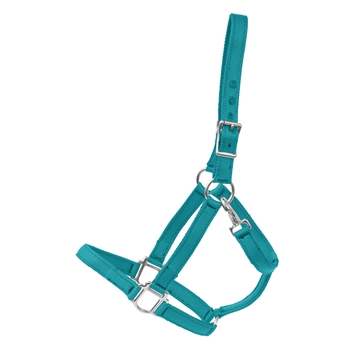TEAL Heavy Duty TURNOUT HALTER made from NYLON