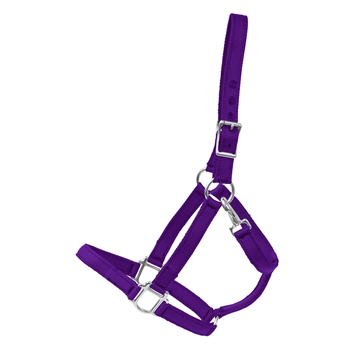 PURPLE Heavy Duty TURNOUT HALTER made from NYLON