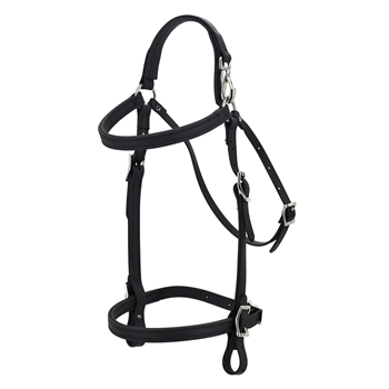 MULE BRIDLE made from BETA BIOTHANE