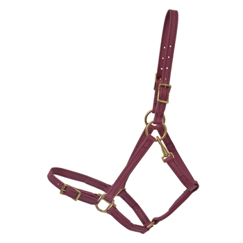 Buckle Nose Halter & Lead Beta Biothane Solid Colored