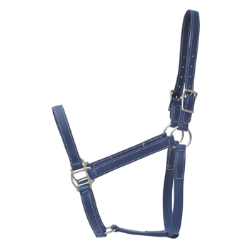 STABLE HALTER & LEAD made from BETA BIOTHANE (Solid Colored)