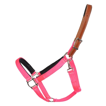 SAFETY HALTER & LEAD with Leather Breakaway Crown made from BETA BIOTHANE (Solid Colored)