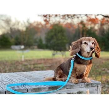 Center Ring DOG COLLAR made from BETA BIOTHANE (Solid Colored) 