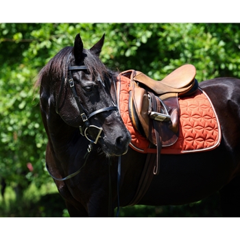 READY MADE - BLACK ENGLISH BRIDLE and REINS made from Beta Biothane