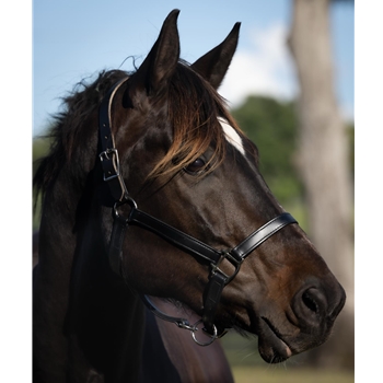 READY MADE - BLACK HALTER Made from Beta Biothane