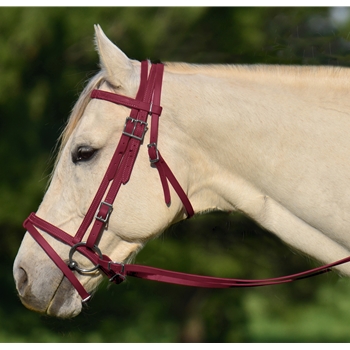 WINE ENGLISH BRIDLE with CAVESSON made from BETA BIOTHANE 