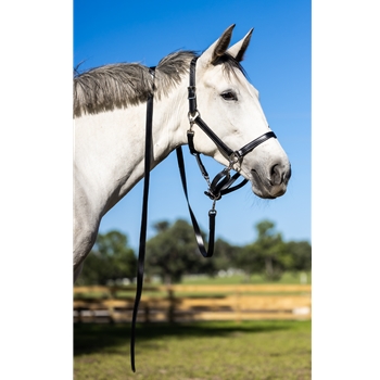 Better Than Leather 5 SNAP CONVERTIBLE HALTER made from BETA BIOTHANE 
