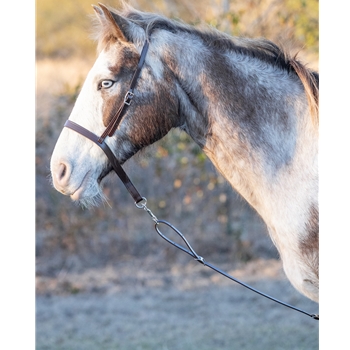 ENGLISH BRIDLE made from Beta Biothane (Solid Colored)