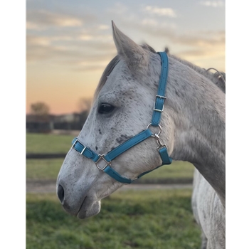 Buckle Nose Halter & Lead Beta Biothane Solid Colored