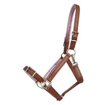 Buckle Nose Halter & Lead Beta Biothane Solid Colored