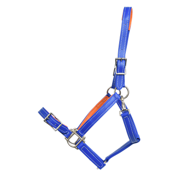 Buckle Nose Halter & Lead Beta Biothane Solid Colored