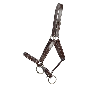 BETTER THAN LEATHER  Pack Horse Halter