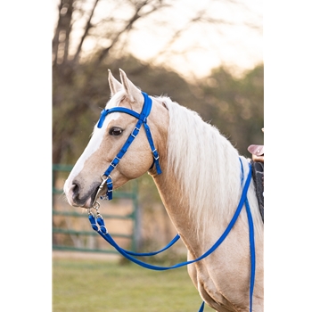 WESTERN BRIDLE with Futurity Knot Browband made from BETA BIOTHANE (Solid Colored)